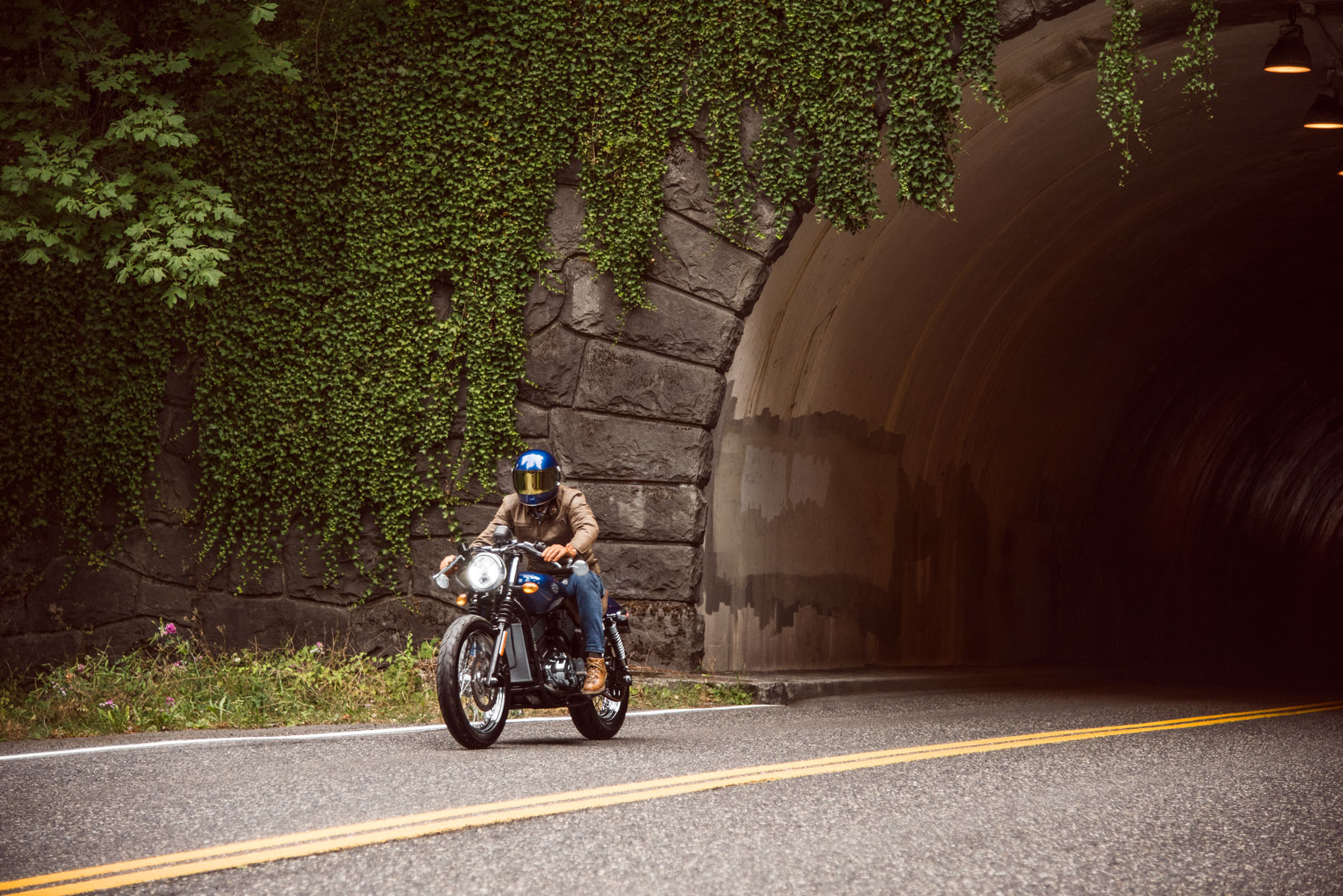 speed shop harley davidson